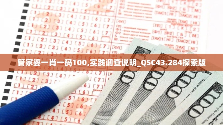 管家婆一肖一碼100,實(shí)踐調(diào)查說明_QSC43.284探索版