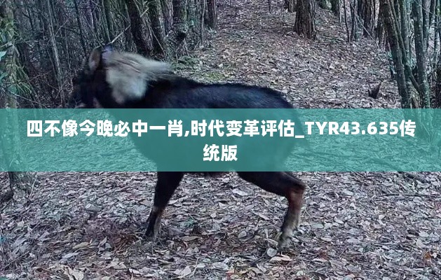 四不像今晚必中一肖,時(shí)代變革評估_TYR43.635傳統(tǒng)版