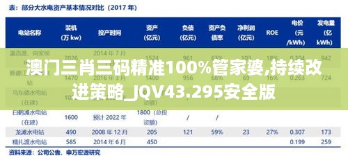 澳門三肖三碼精準(zhǔn)100%管家婆,持續(xù)改進策略_JQV43.295安全版