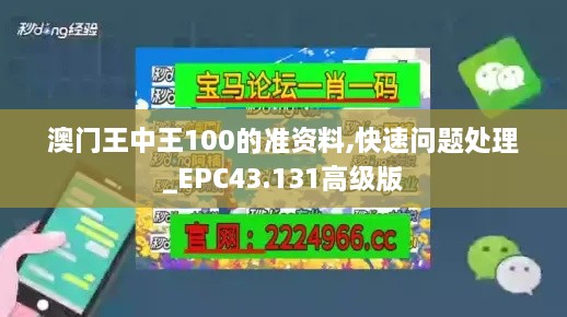 澳門王中王100的準(zhǔn)資料,快速問題處理_EPC43.131高級版