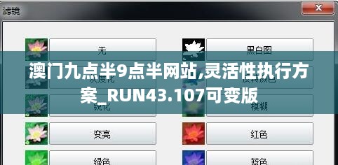 澳門九點(diǎn)半9點(diǎn)半網(wǎng)站,靈活性執(zhí)行方案_RUN43.107可變版