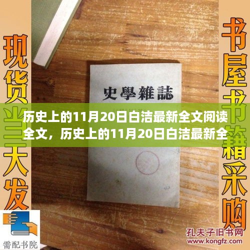 歷史上的11月20日白潔最新全文閱讀，產(chǎn)品評測與介紹全解析