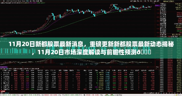 11月20日新都股票最新動態(tài)與市場深度解讀，前瞻性預(yù)測揭秘??