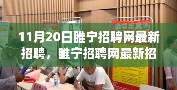 睢寧招聘網(wǎng)最新動態(tài)解析，聚焦行業(yè)熱點與人才需求（11月20日更新）