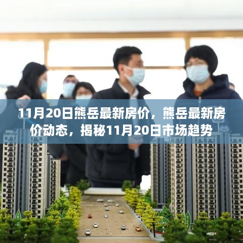 揭秘，熊岳最新房價動態(tài)及市場趨勢（11月20日更新）