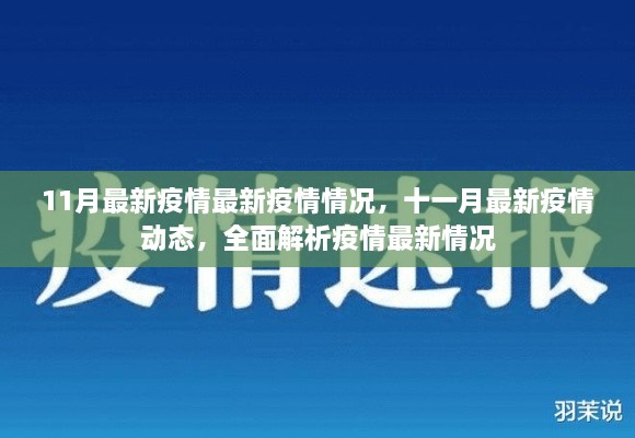 全面解析，最新疫情動態(tài)與十一月最新疫情情況