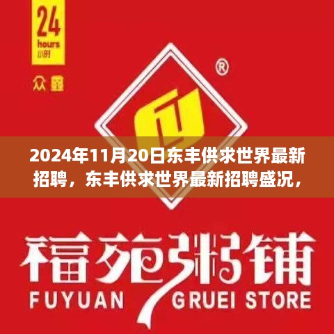 2024年11月20日東豐供求世界招聘盛況，行業(yè)變革與職業(yè)機遇的聚焦