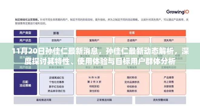 孫佳仁最新動態(tài)深度解析，特性、使用體驗(yàn)與目標(biāo)用戶群體分析報告