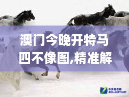 xingchijianyong 第7頁