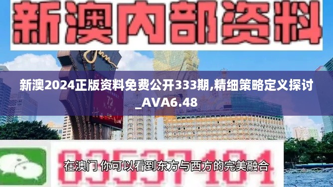 新澳2024正版資料免費(fèi)公開333期,精細(xì)策略定義探討_AVA6.48