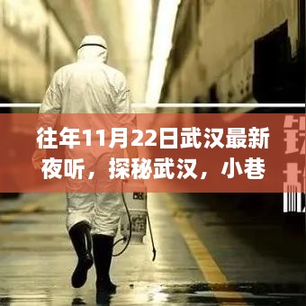 探秘武漢夜聽盛宴，小巷深處的獨特體驗之旅（11月22日）