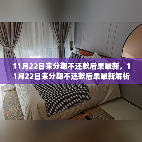 11月22日來分期不還款后果最新解析，全面審視其影響