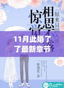 11月此婚了了最新章節(jié)，婚緣十一月，溫馨日常與愛的紐帶