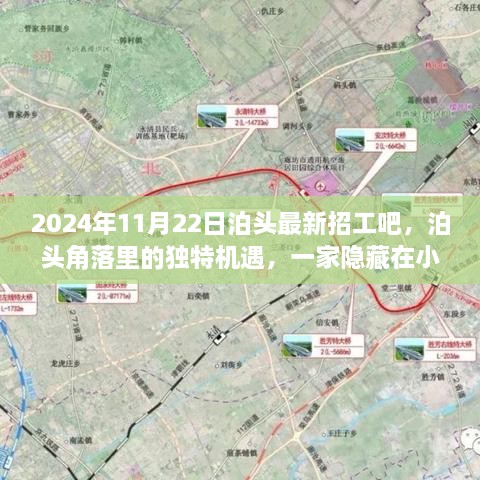 2024年11月22日泊頭最新招工吧，泊頭角落里的獨特機遇，一家隱藏在小巷中的特色小店招工記