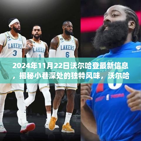 沃爾哈登小巷獨特風味揭秘，2024年11月22日獨家報道