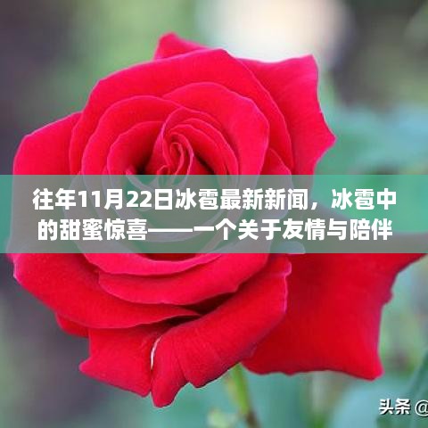 冰雹中的甜蜜驚喜，友情與陪伴的溫馨故事——最新冰雹新聞回顧往年事件