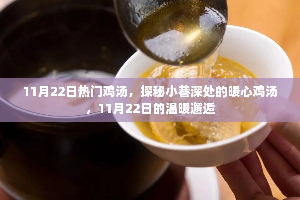 探秘小巷深處的暖心雞湯，11月22日的溫暖邂逅之旅