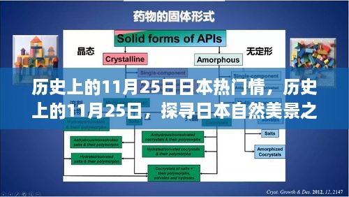 探尋日本自然美景之旅，歷史上的11月25日與日本情感之旅的寧靜與平和