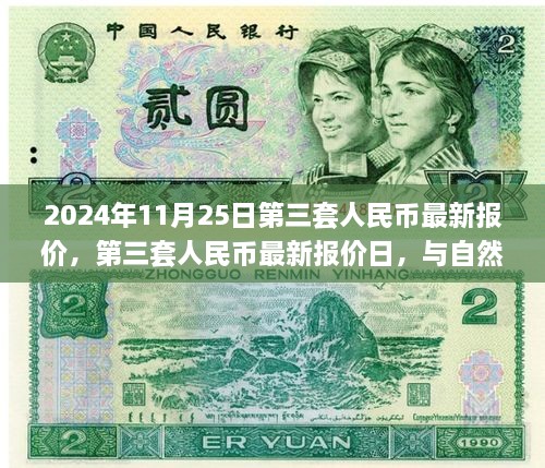 第三套人民幣最新報價與邂逅自然美景之旅，2024年11月25日行情概覽