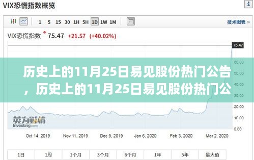 歷史上的11月25日易見股份熱門公告揭秘，重大事件一覽