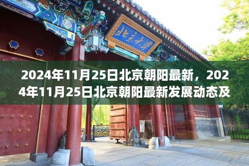 2024年11月25日北京朝陽最新發(fā)展動態(tài)與前景展望