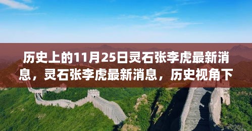 歷史視角下的靈石張李虎，最新消息深度解讀與觀點闡述