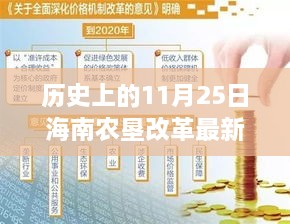 海南農(nóng)墾改革新篇章，歷史上的11月25日，變革中的自信與成就感