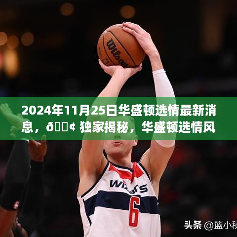 2024年11月25日華盛頓選情最新消息，?? 獨(dú)家揭秘，華盛頓選情風(fēng)云變幻，最新消息一網(wǎng)打盡！?? 2024年11月25日選情深度解析