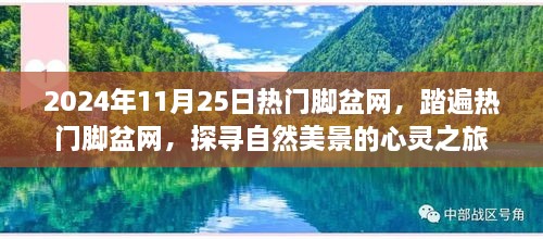 探尋自然美景的心靈之旅，熱門腳盆網(wǎng)之旅（2024年11月25日）