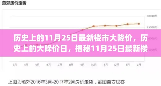 歷史上的11月25日最新樓市大降價(jià)，歷史上的大降價(jià)日，揭秘11月25日最新樓市降價(jià)真相