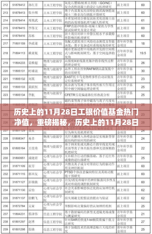 揭秘，歷史上的工銀價(jià)值基金凈值飆升背后的故事——聚焦11月28日熱門(mén)凈值日解密