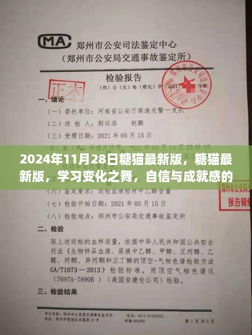 2024年11月28日糖貓最新版，糖貓最新版，學(xué)習(xí)變化之舞，自信與成就感的魔法之旅