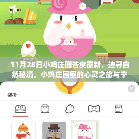 11月28日小雞莊園答案最新，追尋自然秘境，小雞莊園里的心靈之旅與寧靜的擁抱