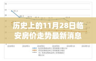 歷史上的11月28日臨安房價走勢深度解析，背景、事件與地位及其最新消息