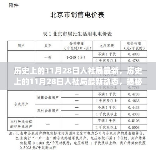 揭秘歷史上的11月28日人社局最新動態(tài)，改變未來的重要時刻回顧