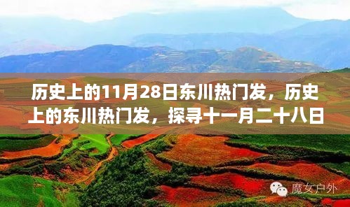 歷史上的11月28日東川熱門發(fā)，歷史上的東川熱門發(fā)，探尋十一月二十八日的輝煌印記