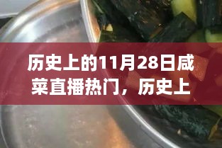 歷史上的11月28日咸菜直播熱門，歷史上的11月28日，見證咸菜直播熱門高科技產品的誕生與革新