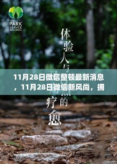 微信整頓新動態(tài)，啟程心靈之旅，擁抱自然新風尚