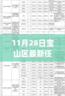 11月28日寶山區(qū)干部任免更新，流程詳解與操作指南