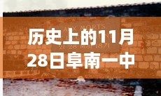 阜南一中歷史時刻下的勵志篇章，最新事件回顧與校園之光