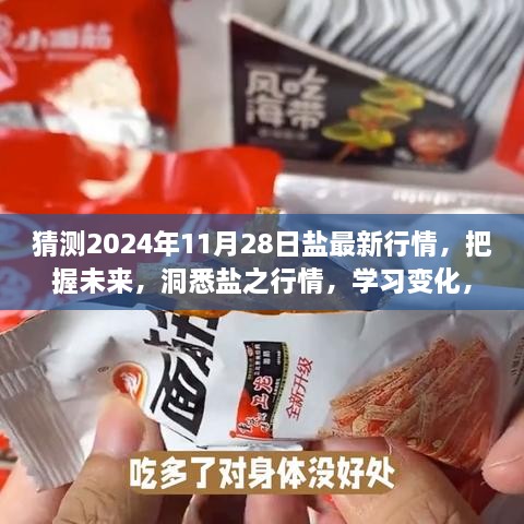 預(yù)測未來鹽行情，洞悉鹽之變化，把握機遇成就夢想