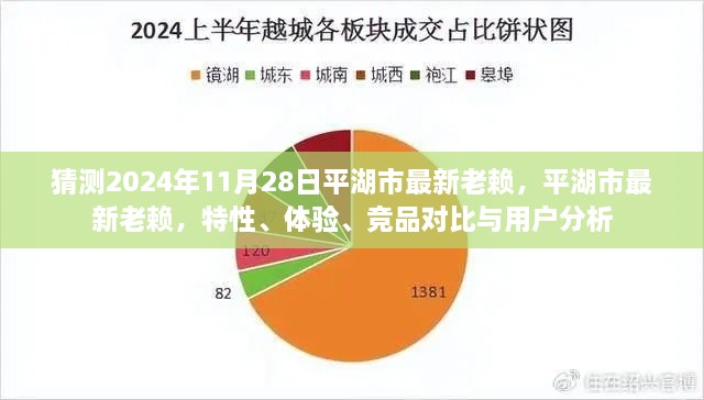 平湖市最新失信人員解析，特性、體驗、競品對比與用戶洞察（預(yù)測至2024年11月）