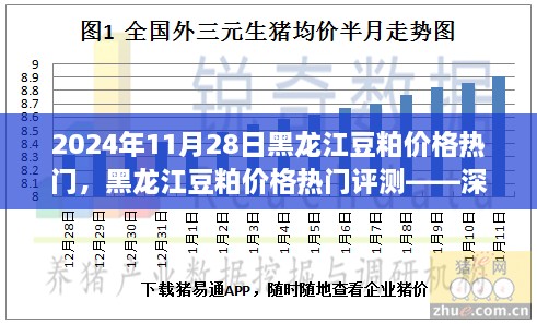 黑龍江豆粕價格熱門解析，深度剖析豆粕特性、用戶體驗與目標用戶群體分析報告