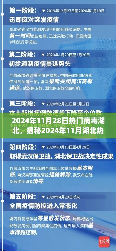 揭秘湖北熱門病毒現象，傳播特點、防控措施與公眾關注焦點（2024年11月報告）