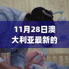 11月28日澳大利亞最新的政策，澳大利亞新政策啟航日，變化中的學習，自信與成就感的源泉