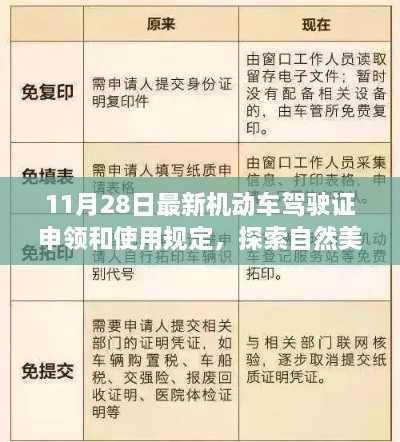 探索自然美景的心靈之旅，最新機動車駕駛證申領和使用規定解讀