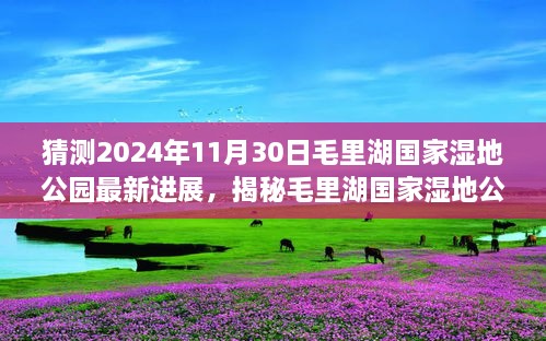 猜測2024年11月30日毛里湖國家濕地公園最新進展，揭秘毛里湖國家濕地公園，2024年最新進展展望