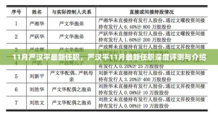 嚴漢平最新任職深度解析與介紹，揭秘其11月新職務的機遇與挑戰