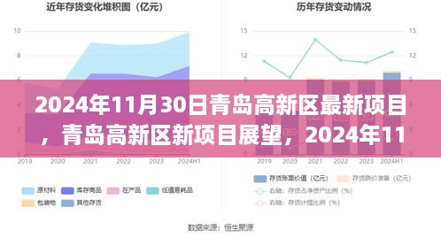 青島高新區(qū)新項(xiàng)目展望，機(jī)遇與挑戰(zhàn)并存，聚焦未來創(chuàng)新機(jī)遇（2024年11月30日）