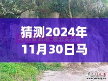 揭秘未來，馬山縣石豐村2024年11月30日最新動態展望指南